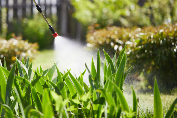 Tamper-Resistant Bait Stations for Rodents in Galena Park