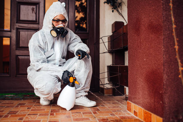 Attic and Crawl Space Rodent Treatment in Galena Park